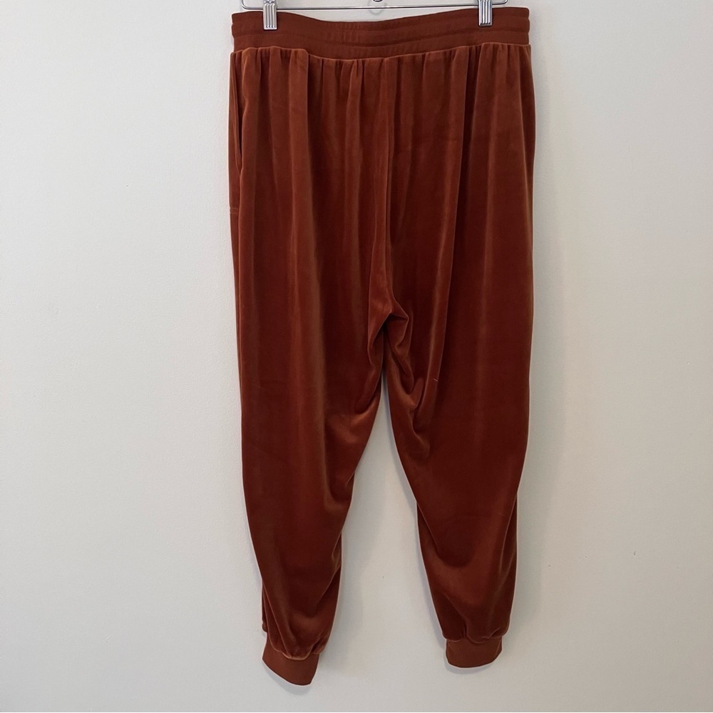 Jane and Delancey Women’s Large Joggers Brown Velour Loungewear Goblincore - Picture 7 of 7